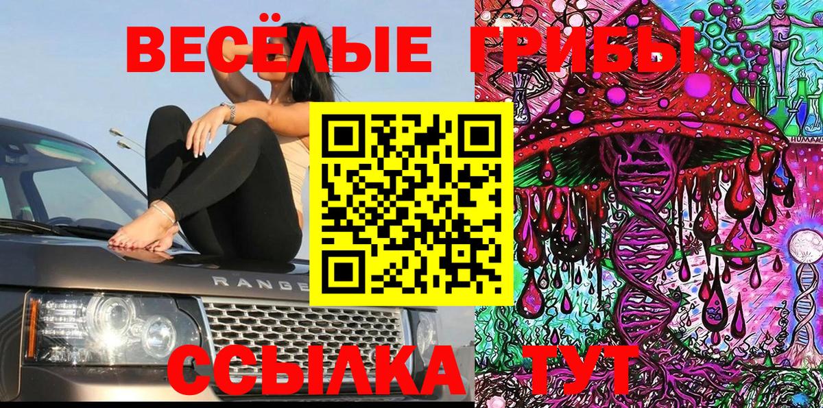 Псилоцибиновые грибы прущие грибы Мыски