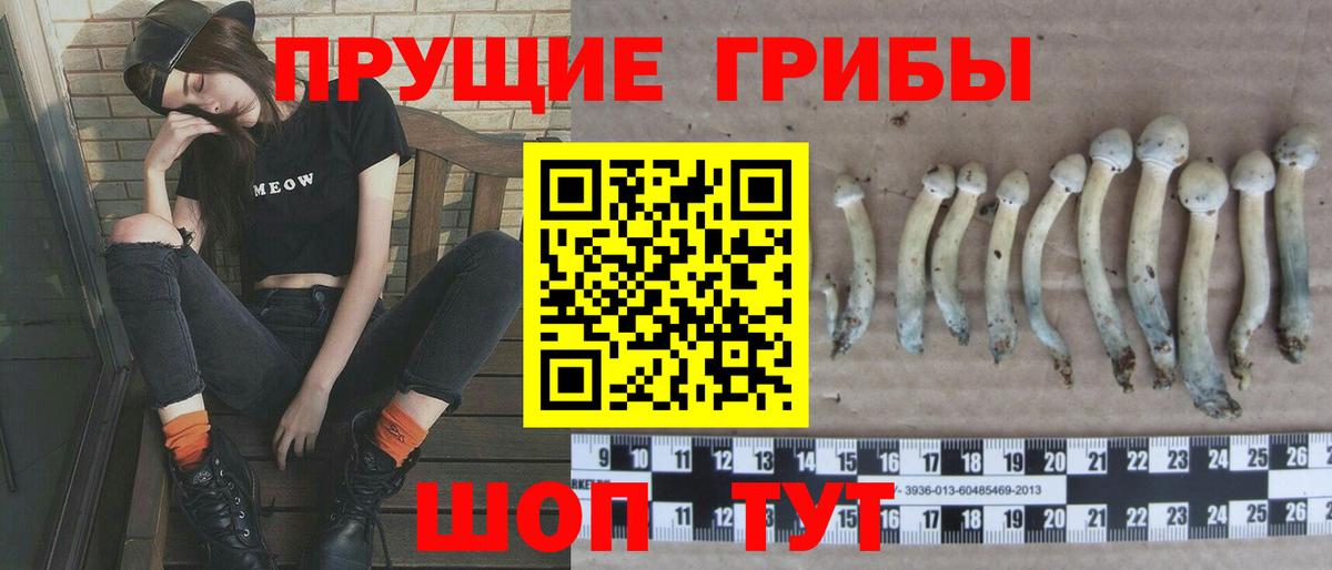 Псилоцибиновые грибы прущие грибы  Вход с VPN  Мыски 